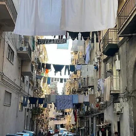 Queen Carolina's Homes - In Old Town * Naples
